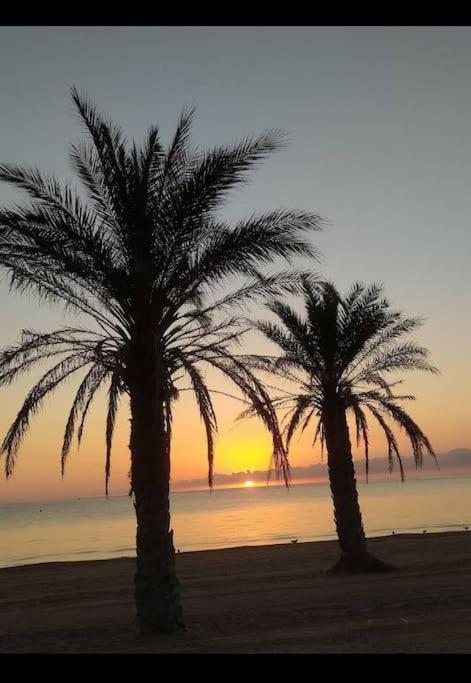 Charm With An Oasis By The Apartamento Dénia